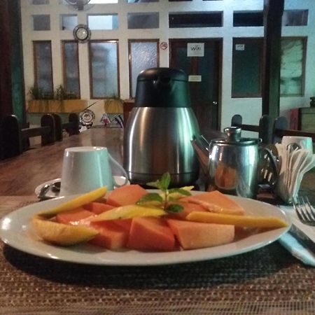 Hostal Fuente Castalia, B Y B León 外观 照片