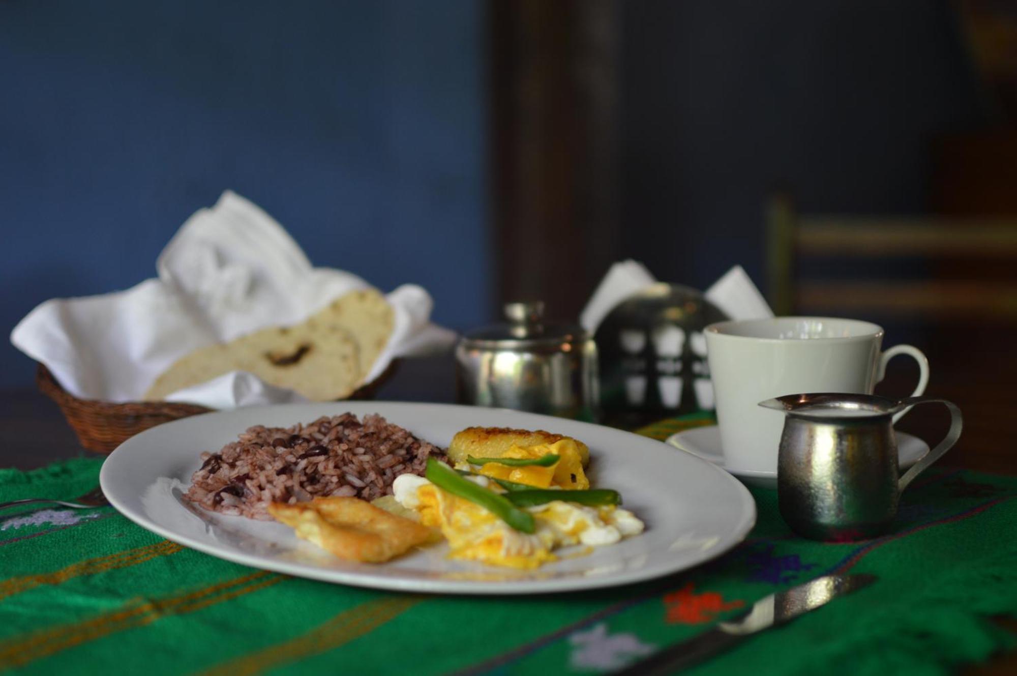 Hostal Fuente Castalia, B Y B León 外观 照片