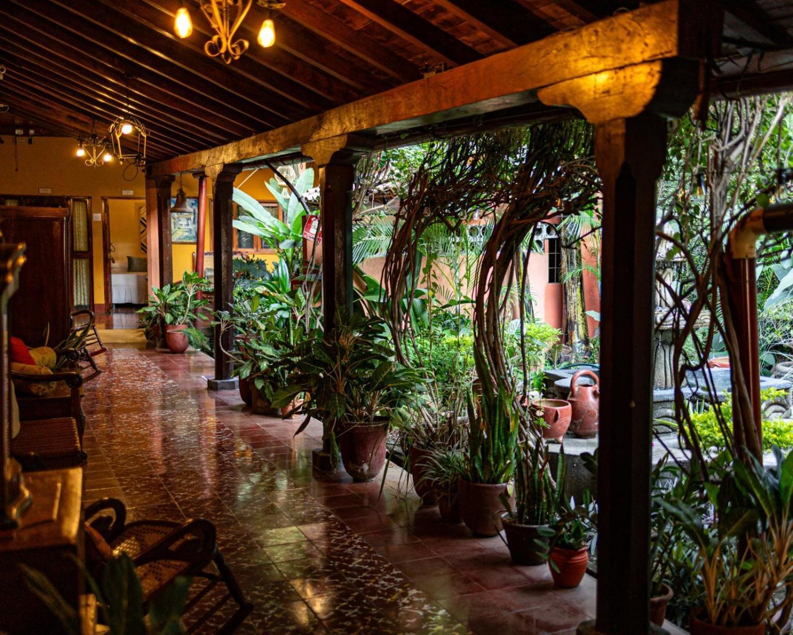 Hostal Fuente Castalia, B Y B León 外观 照片
